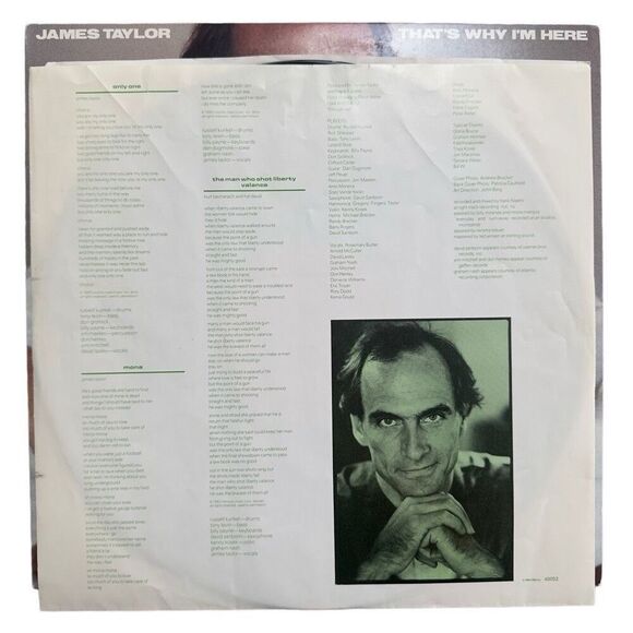 James Taylor - That’s Why I’m Here Vinyl LP, Very Good Condition - Picture 4 of 6